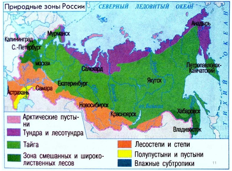 Субтропические леса карта