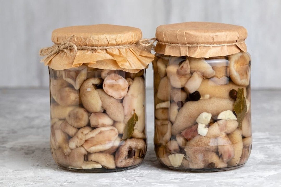 Готовим вкуснейшие заготовки из сухих груздей на зиму: рецепты маринования, соления и заморозки грибов