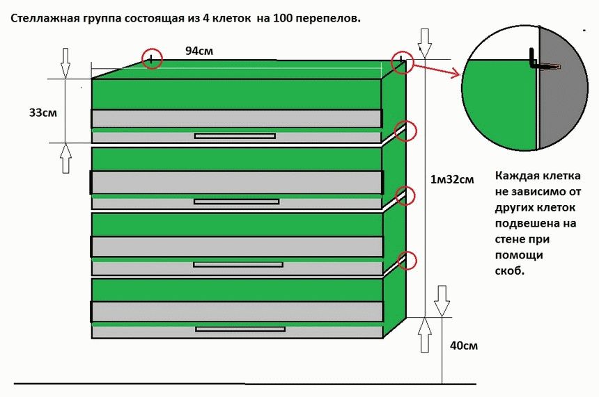 Брудер для перепелов своими руками размеры и чертежи фото