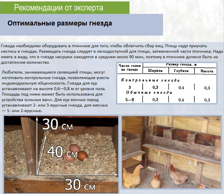 Чертежи гнезд для несушек