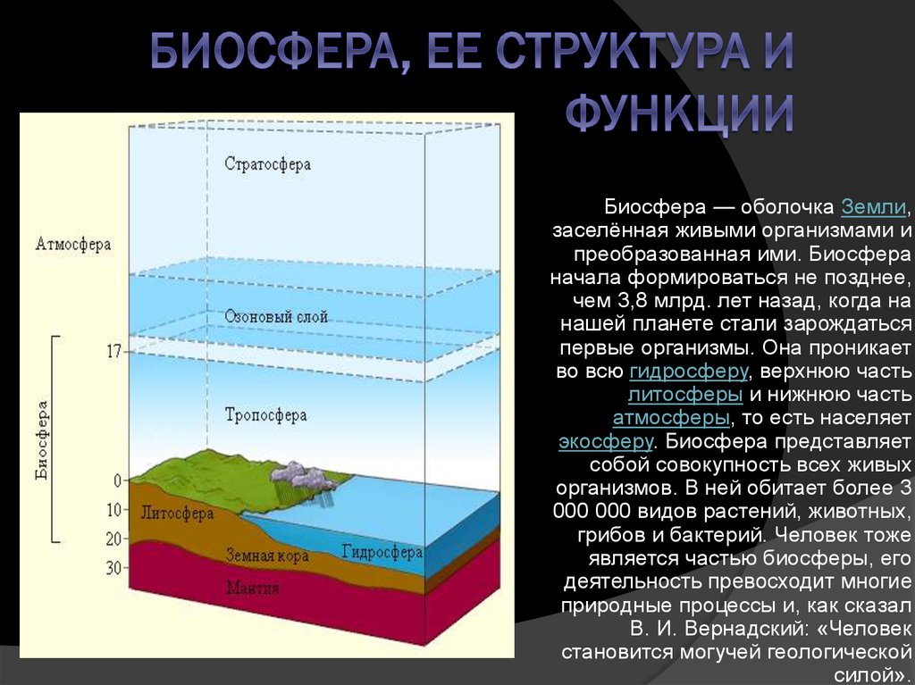 Литосфера входит в состав биосферы. Структура биосферы вещество. Структура вещество границы биосферы. Биосфера внешняя оболочка земли. Структура границы и основные свойства биосферы.