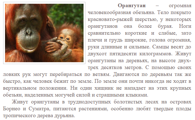Краткое содержание обезьянка 3 класс. Факты про обезьян. Рассказ про обезьяну. Статья про обезьян. Обезьяна информация для детей.