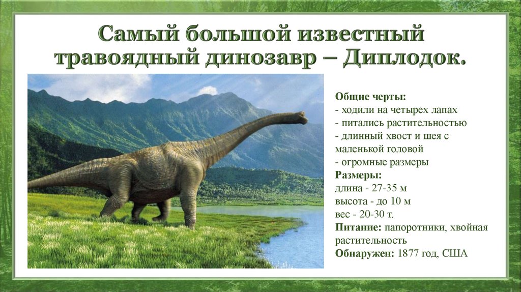 Создавая лучшего динозавра: как на самом деле выглядели «ужасные ящеры»?