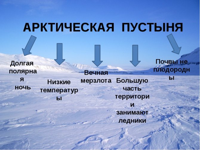 Арктические пустыни и тундра презентация