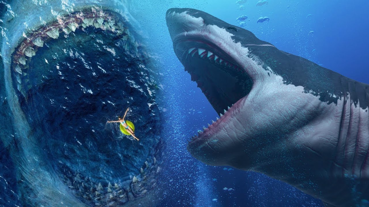 Акула-мегалодон: топ 10 удивительных фактов об этом ужасном чудовище :: инфониак