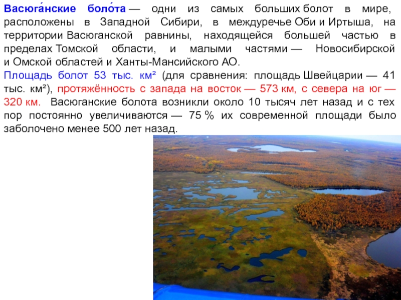 Васюганские болота находятся. Васюганские болота, Западная Сибирь. Большое Васюганское болото на карте России. Болото – Васюганское в Междуречье Оби и Иртыша. Васюганские болота экосистема.