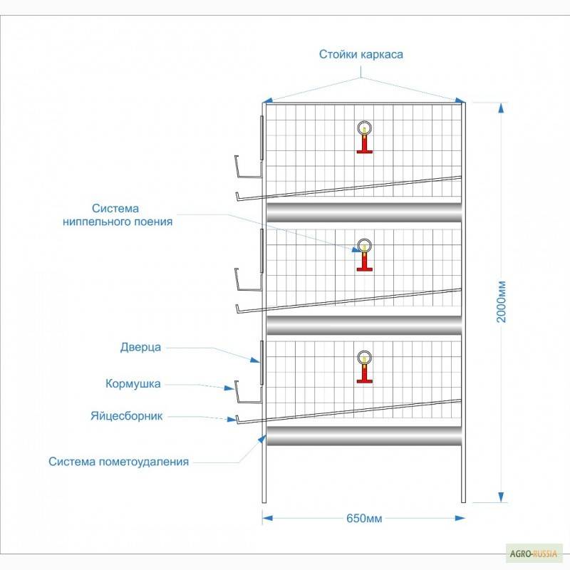 Схема клетки для перепелов