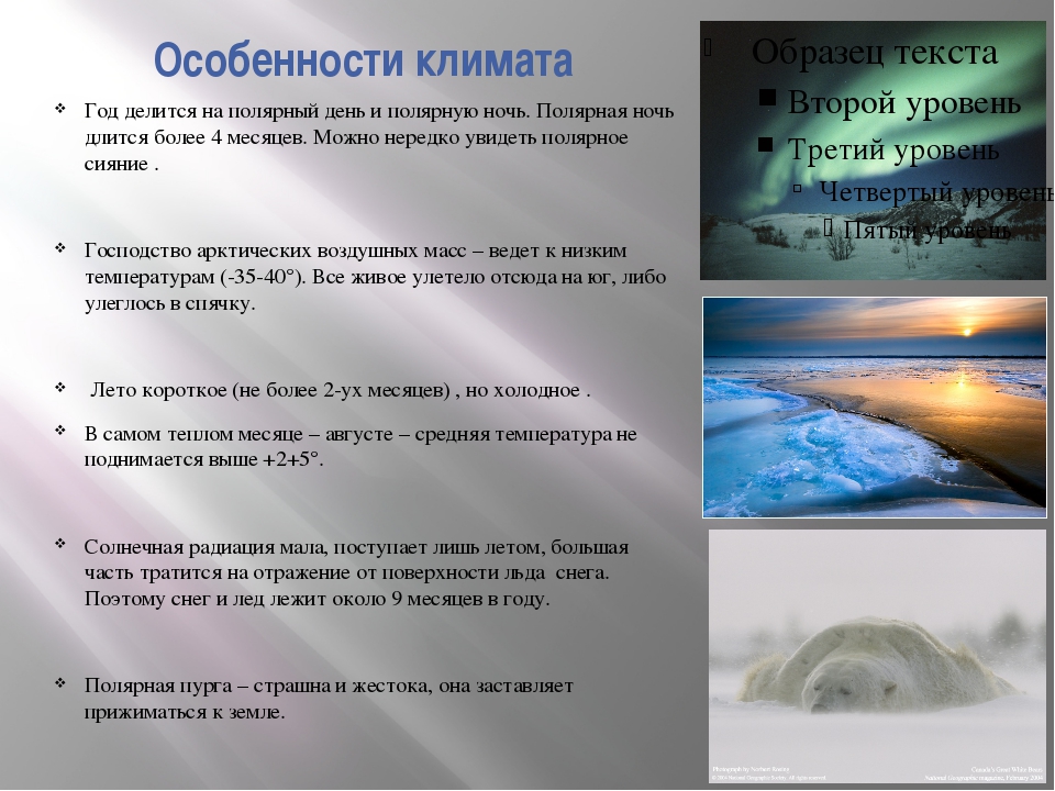 Полярная ночь презентация