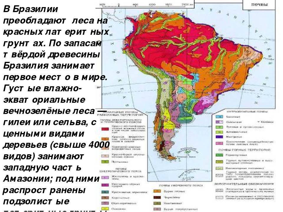 Основные особенности природных зон бразилии кратко