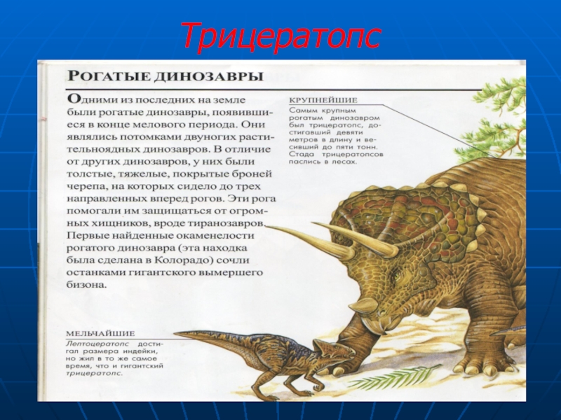 Кентрозавр — википедия wikizero