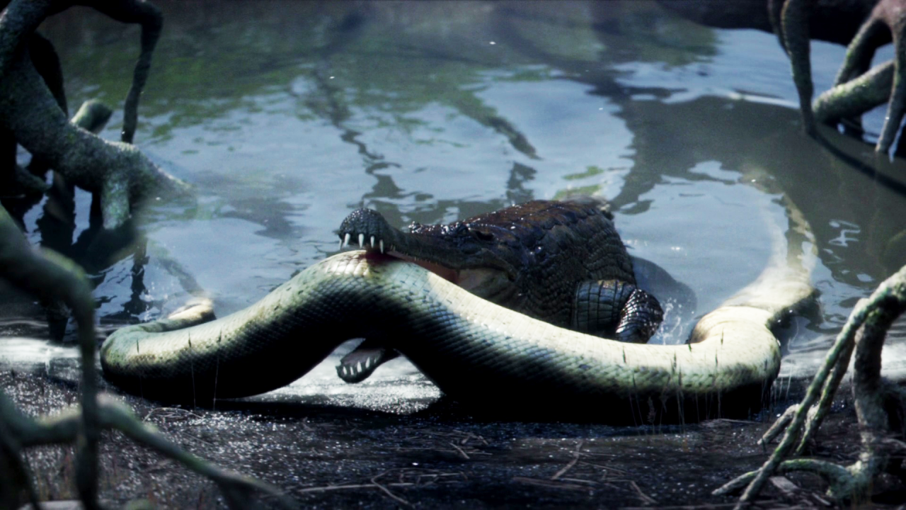 Anaconda versus titanoboa