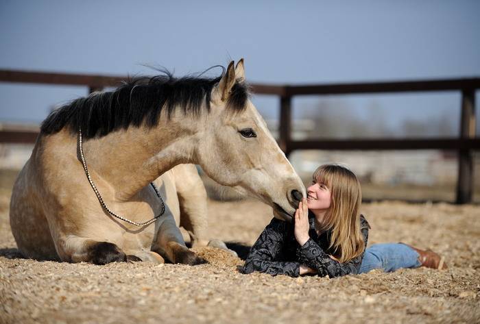 Доверие лошади. Понимание лошади. Общение с лошадьми. Психика лошади.