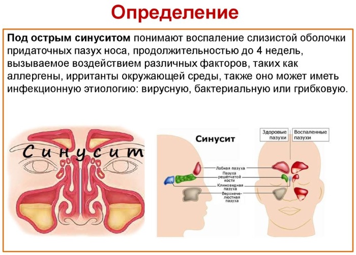 Болезни лошадей: лечение, диагностика, профилактика