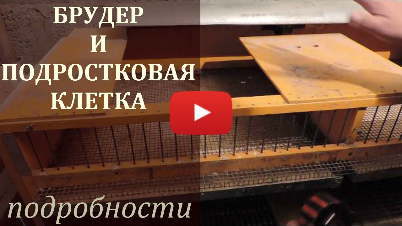Брудер для перепелов чертежи на 50 штук