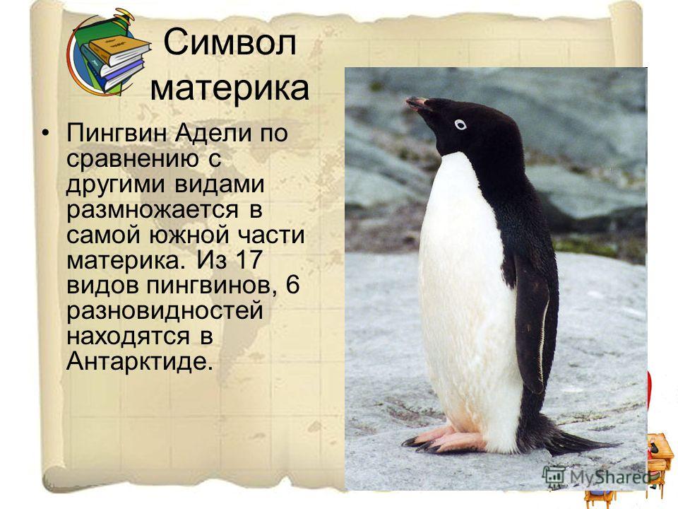 Где живут пингвины материк. Пингвин Адели. Виды пингвинов в Антарктиде. Пингвин Адели интересные факты. Пингвины Адели презентация.