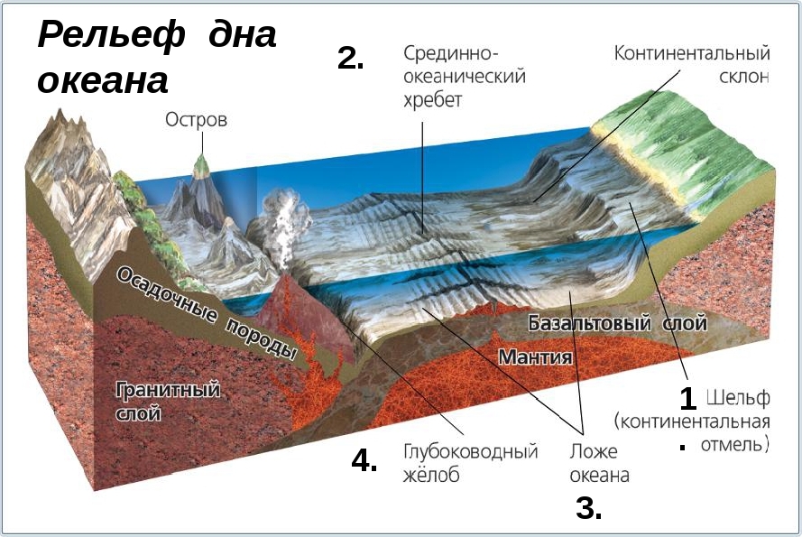 Часть рельефа дна океана рисунок 6 класс