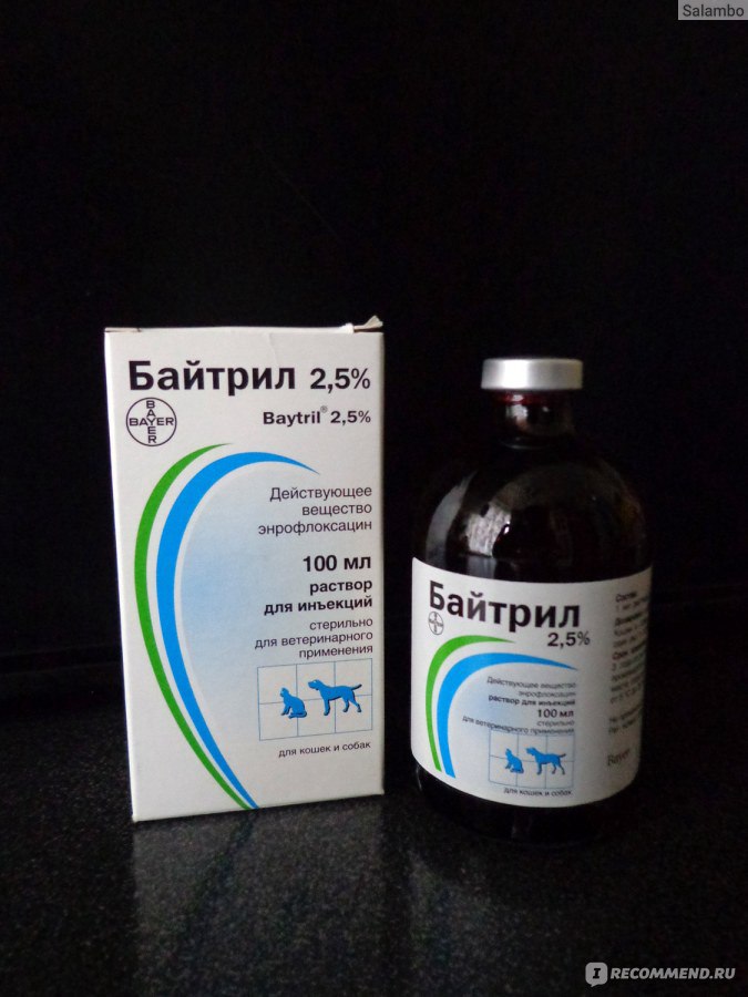 Байтрил: инструкция по применению для кроликов