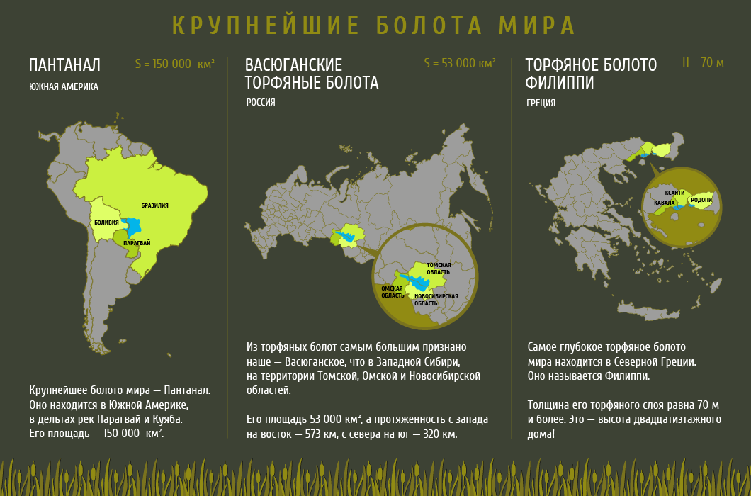 Карта торфяников в россии