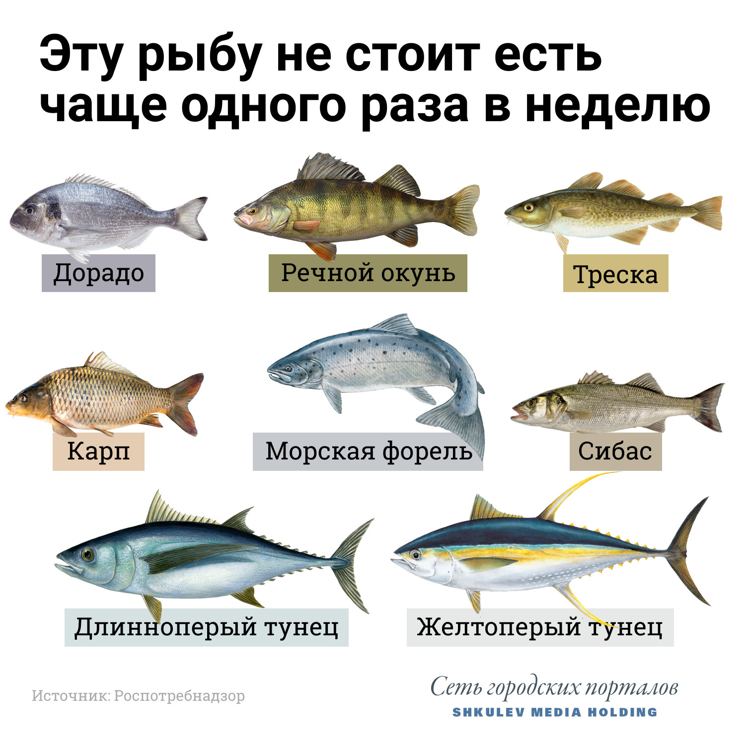 Морская рыба список с названиями и фото