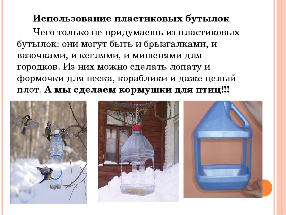 ᐉ кормушка для голубей своими руками: пошаговая инструкция, требования, материалы - zookovcheg.ru