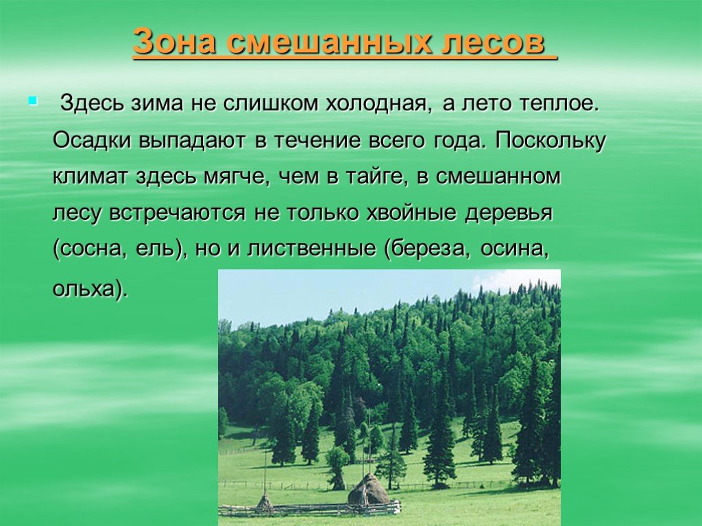 Леса россии климатические условия