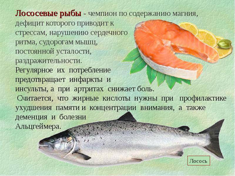 Пресноводные виды рыб россии - названия, фото и краткое описание — природа мира