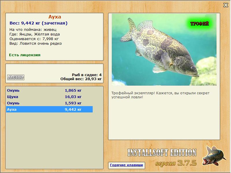 Рыба «окунь китайский» фото и описание