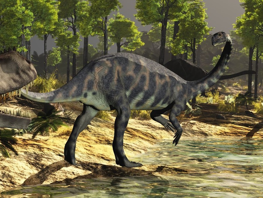Найден скелет самого большого в мире динозавра