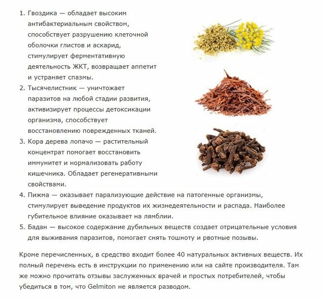 Чесотка: симптомы и лечение, как выглядит (фото) – эл клиника