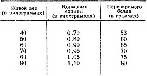 Нормы кормления ягнят. Таблица кормления ягнят без матери. Норма кормления ягненка вручную. Способ кормления ягнят. Как часто кормить ягненка.