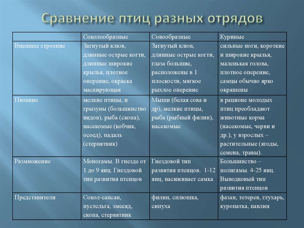 Охарактеризуйте отличительные черты трех систематических групп класса птицы используя рисунки