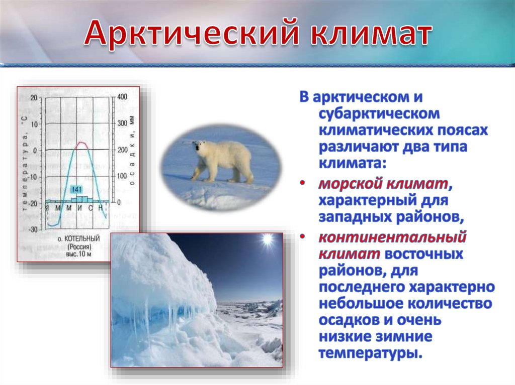 Какой климатический пояс в арктических пустынях