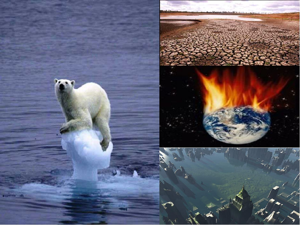 Возможные последствия глобального потепления в будущем
