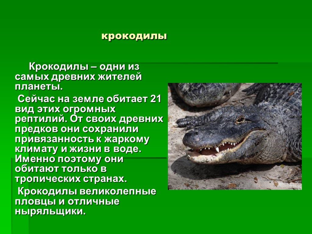 Гребнистый крокодил. описание и фото. образ жизни, питание, опасность для человека