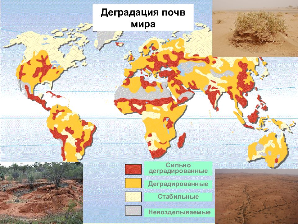 Деградация почв загрязнение почв