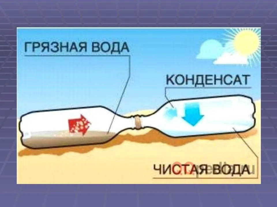 Карта выживания в воде