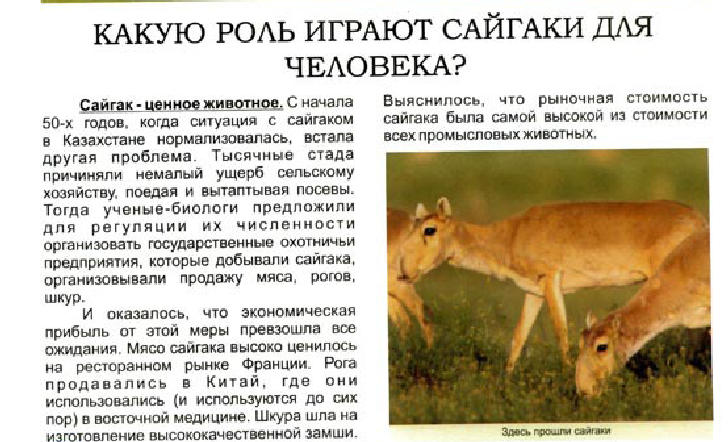 Животные степи: особенности, названия и фото — природа мира