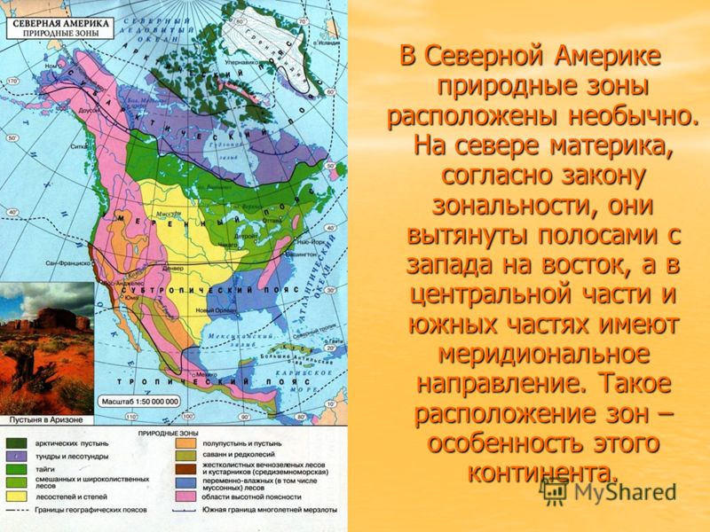 В каких природных зонах находится северная америка. Карта климатических поясов Северной Америки. Климат Северной Америки карта. Климатическая карта Северной и Южной Америки. Карта природных зон Северной Америки 7 класс география.