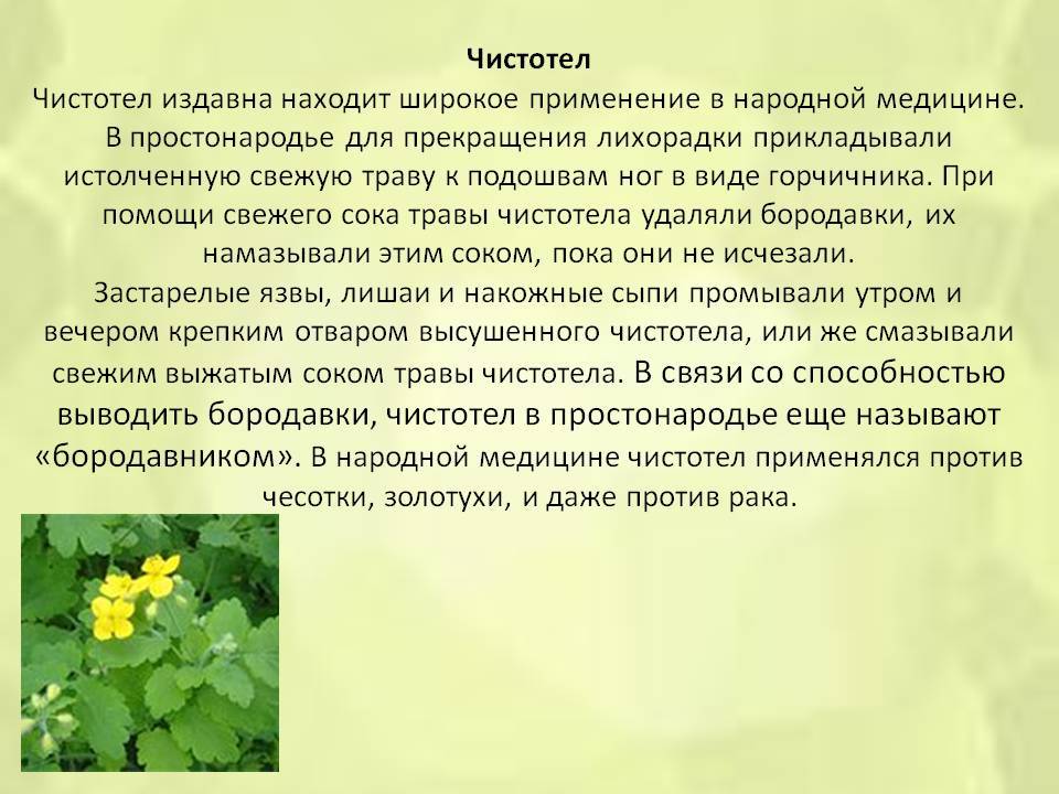 5 наиболее популярных хондропротекторов при артрозе
