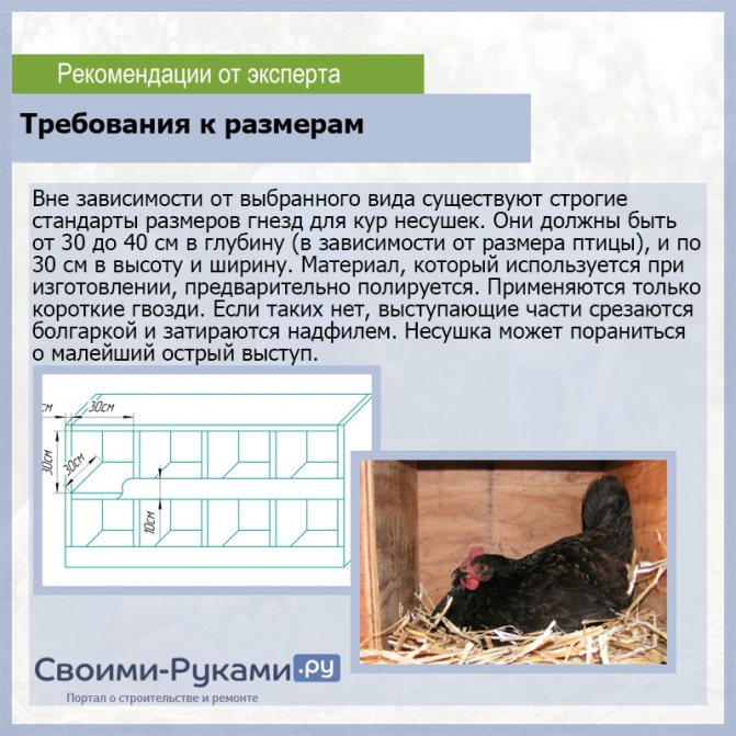 Как сделать гнезда для кур с яйцесборником своими руками чертеж с размерами