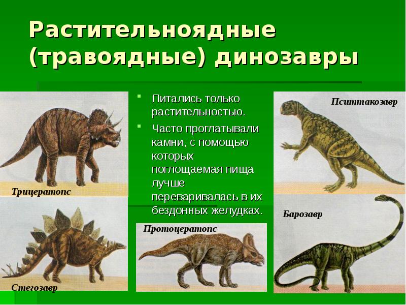 Кентрозавр — вики по игре ark: survival evolved