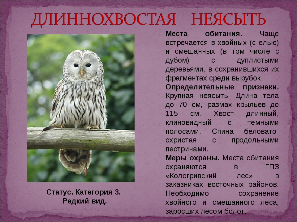 Красная книга россии животные и фото и описание