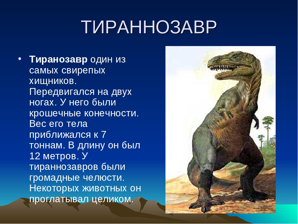 Опиши динозавра. Доклад про динозавров. Тираннозавр доклад. Сообщение о динозаврах. Рассказать про динозавра.