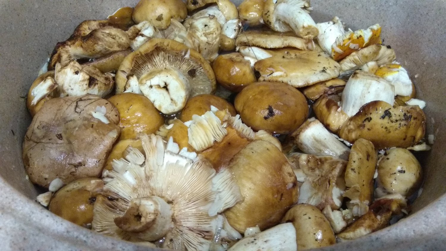 Свинухи грибы как готовить сколько варить