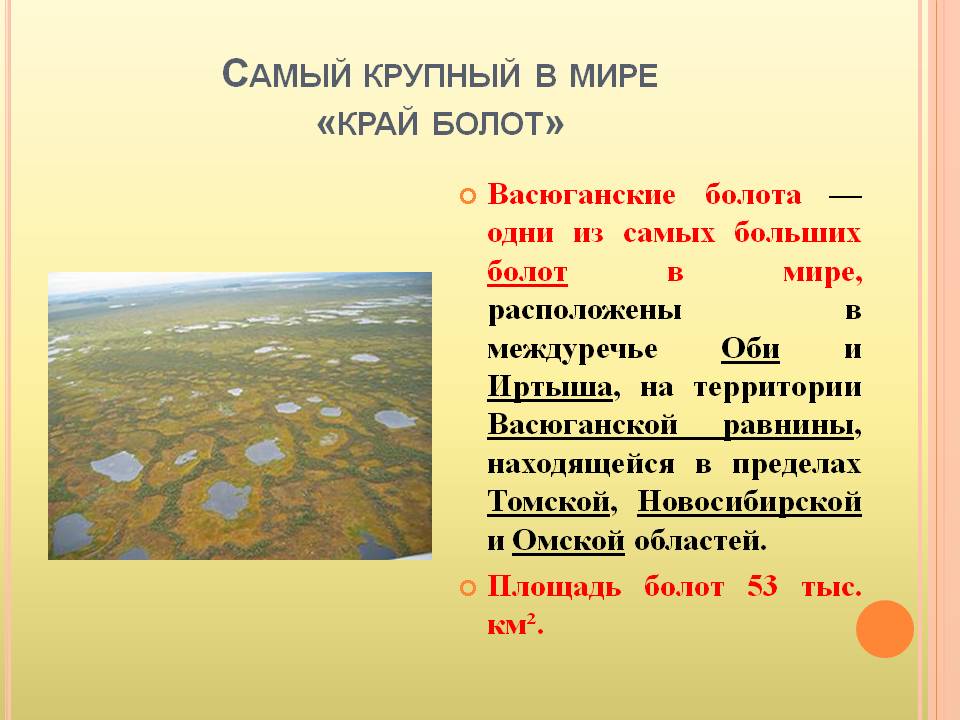 Как в 30 годах называли болото. Большое Васюганское болото на карте России. Болота Евразии. Самое большое болото в России.