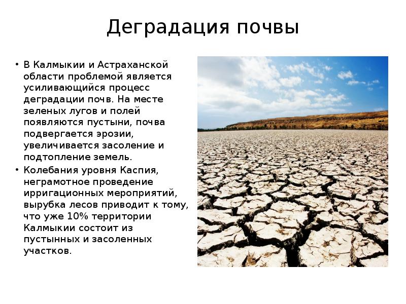 Деградация почв загрязнение почв. Засоление почв Астраханской области. Засоление почв в Калмыкии. Деградация почвы в Калмыкии. Деградация сельскохозяйственных земель.