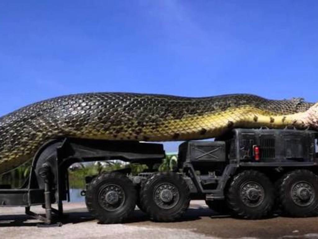 Самая огромная змея в мире фото