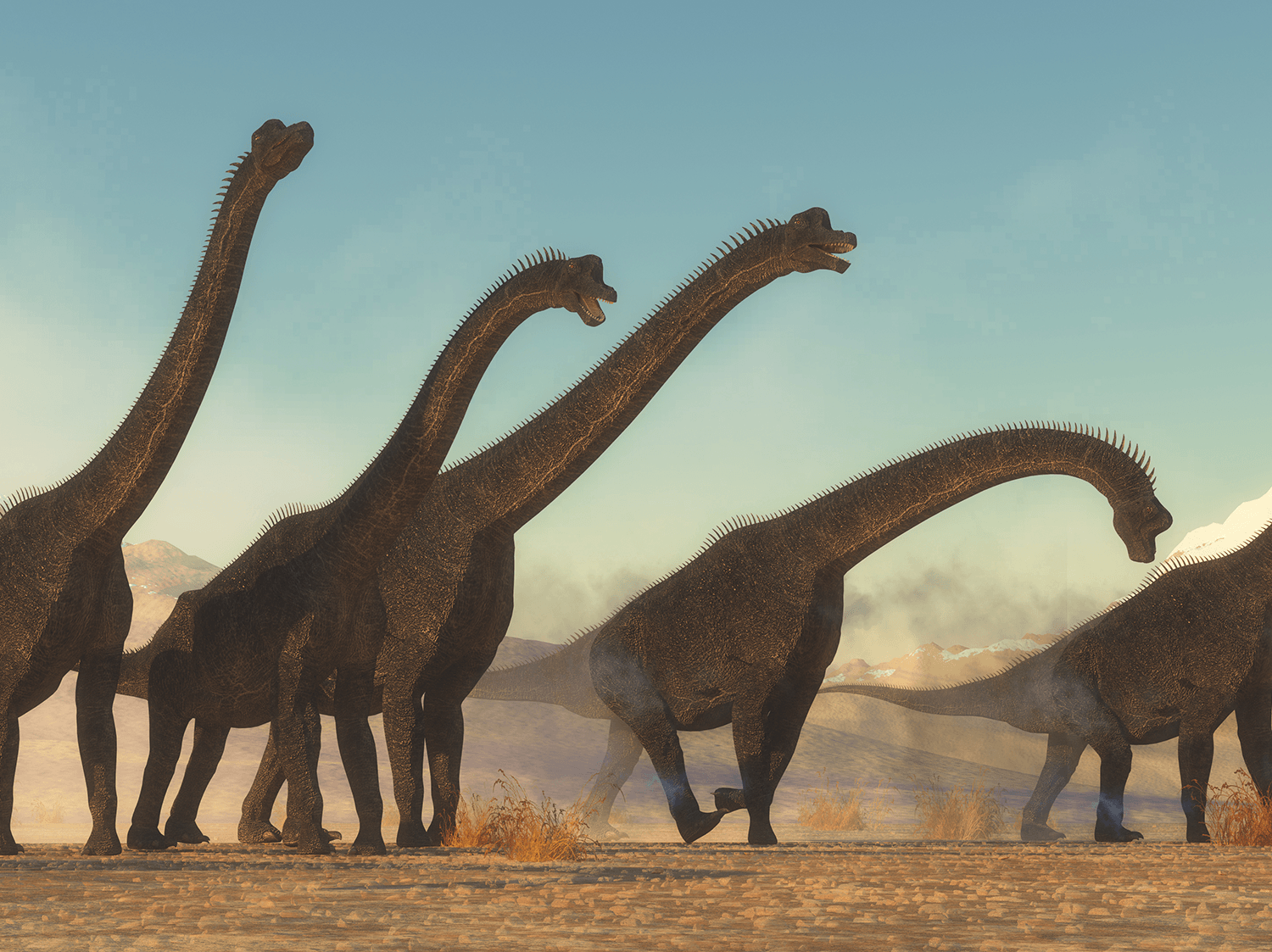 Brachiosaurus and Friends: Exploring the World's Tallest Dinosaurs