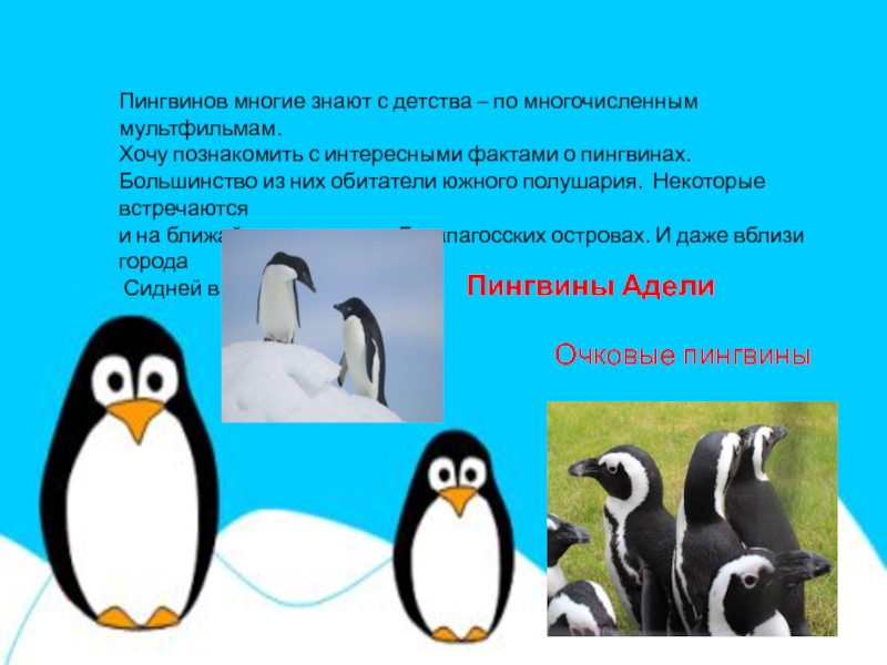 Рассказ про пингвина 1 класс. Интересные факты о пингвинах. Пингвин для детей. Интересное о пингвинах для детей. Интересные факты о пингвинах для детей.