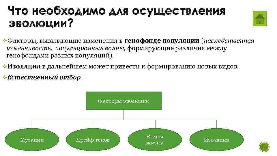Изменение генофонда популяций презентация 11 класс